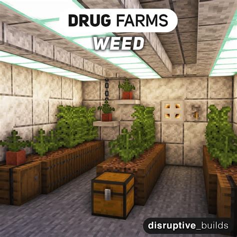 minecraft drug farm